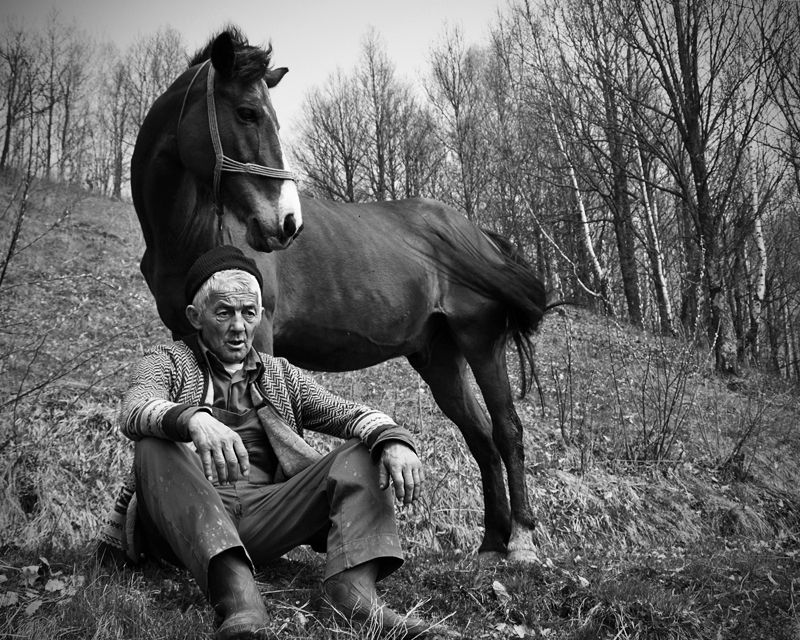 The Old Man and the Horse – A Chinese Proverb
